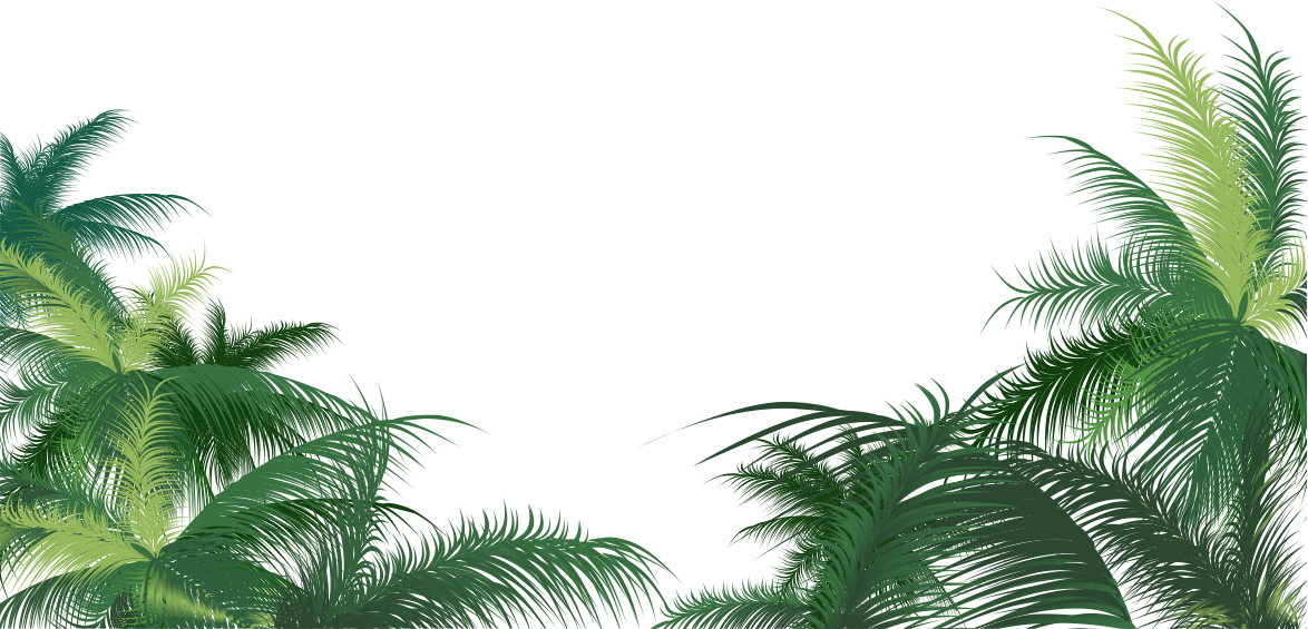 Palm Trees Background