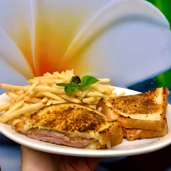Grilled cheese sandwich with ham and fries, garnished with basil, on a white plate.